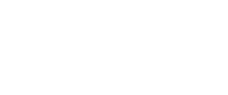 BSI